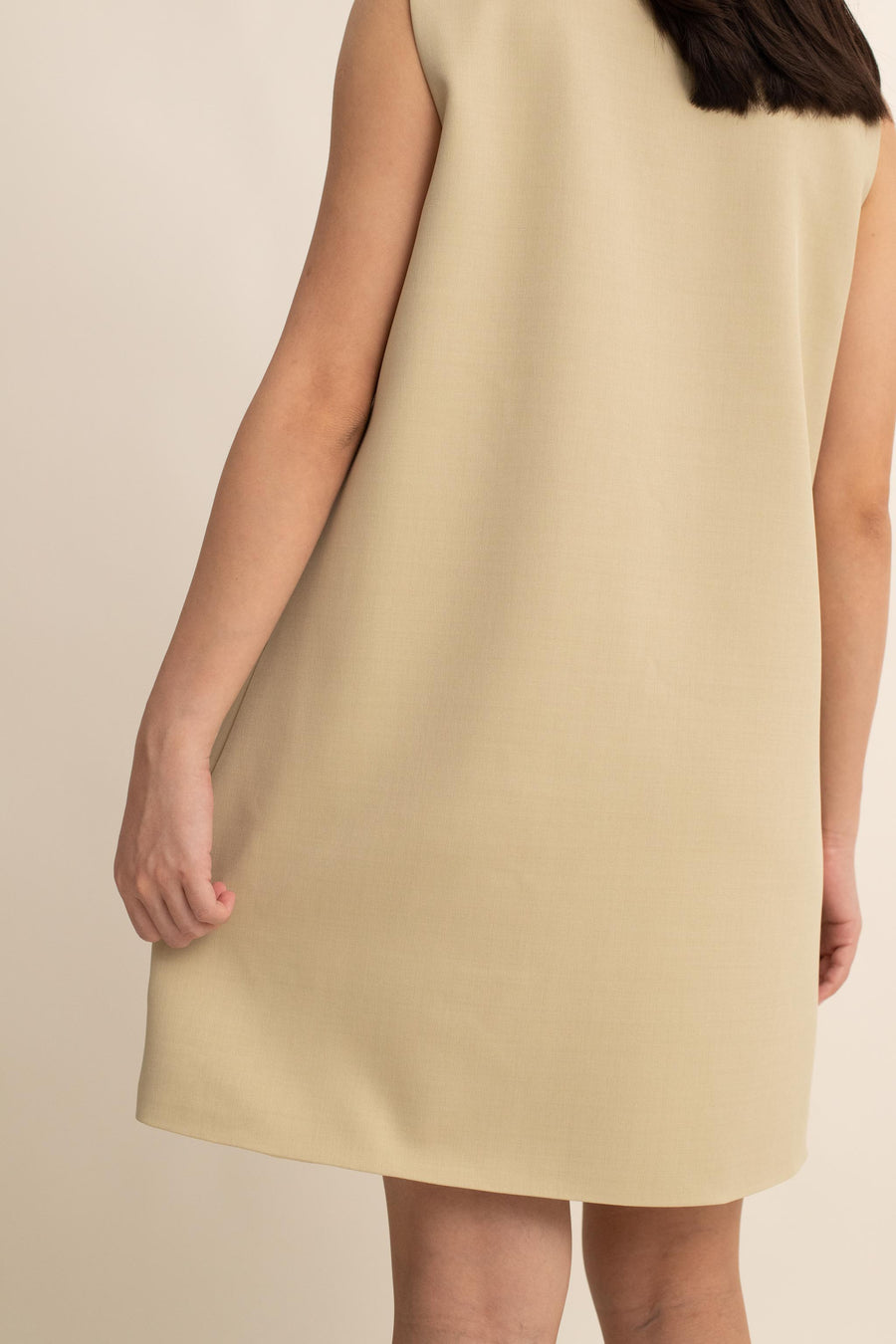 Hailey V-neck Dress